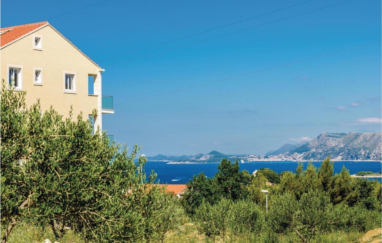 Amazing Apartment In Cavtat With House Sea View Kültér fotó