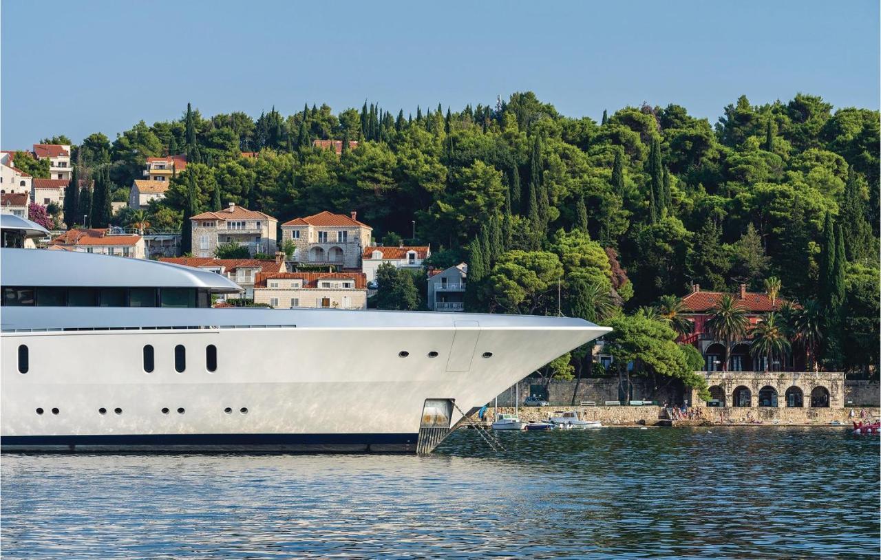 Amazing Apartment In Cavtat With House Sea View Kültér fotó